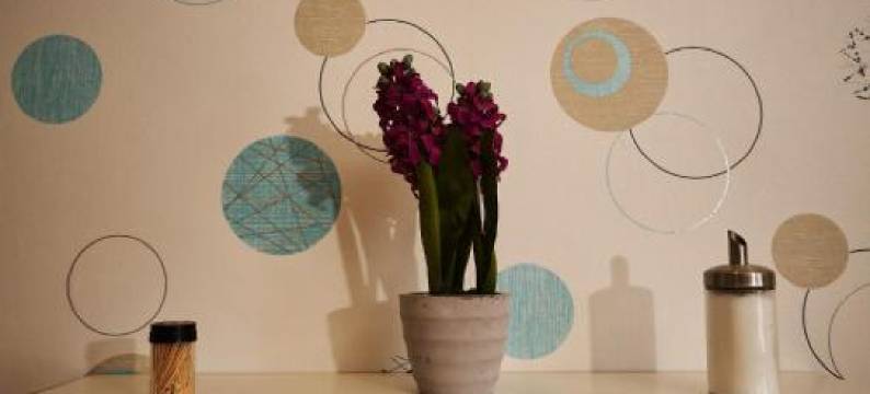 费里恩沃恩根和G斯泰齐默尔·沃克酒店(Zimmervermietung Vock)图片