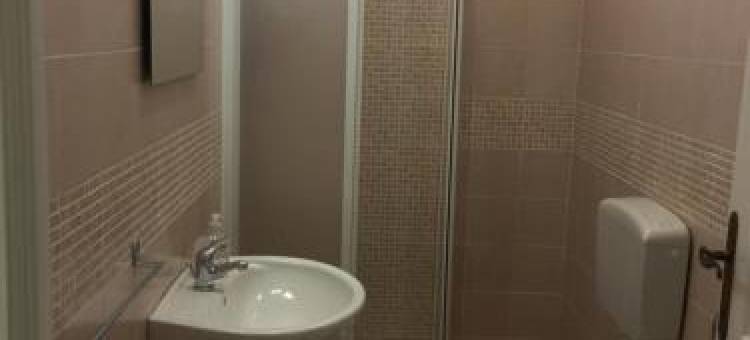 Ginepro Family图片