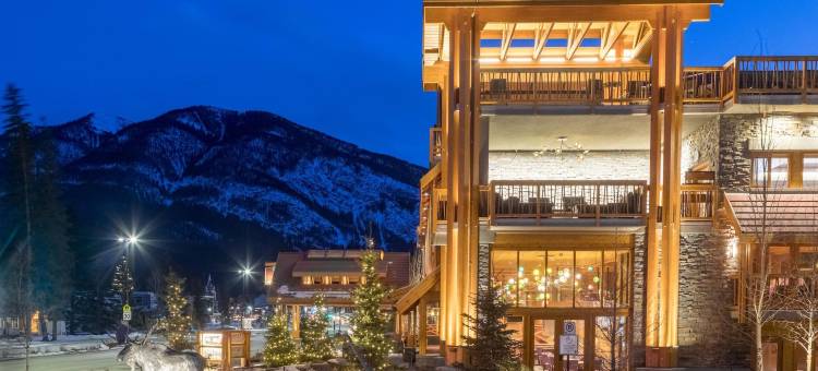 穆斯套房酒店(Moose Hotel and Suites)图片