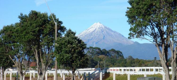 BK埃格蒙特汽车旅馆(Bks Egmont Motor Lodge)图片