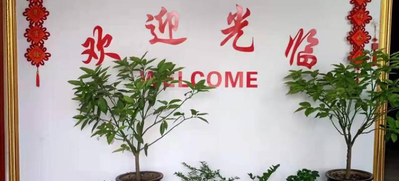 曹县邵家宾馆图片