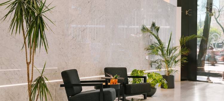 Sonder Cóporo图片