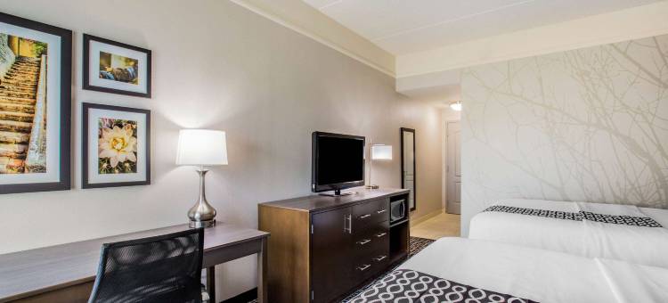 西麦卡伦米西翁拉昆塔温德姆套房酒店(La Quinta Inn & Suites by Wyndham Mission at West McAllen)图片