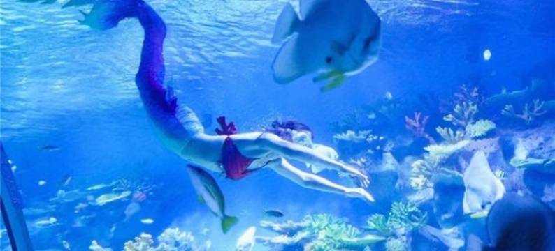 观海之家公寓(绿舟南路分店)图片