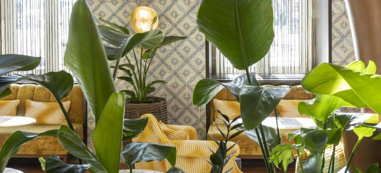 阿维尼达利贝尔达迪传统酒店(Heritage Avenida Liberdade - Lisbon Heritage Collection - Avenida)图片