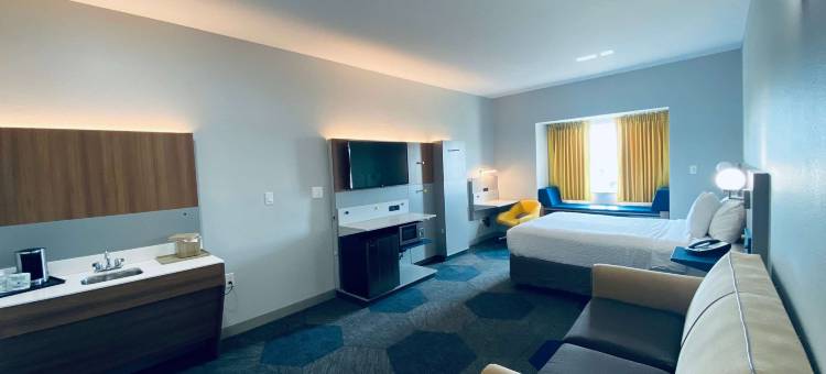 欧佩莱卡麦客达套房酒店(Microtel Inn & Suites by Wyndham Opelika)图片