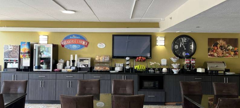 艾迪生温德姆呗盟酒店(Baymont by Wyndham Addison)图片