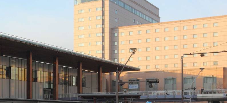 JR东日本大都会大饭店长野(Hotel Metropolitan Nagano)图片