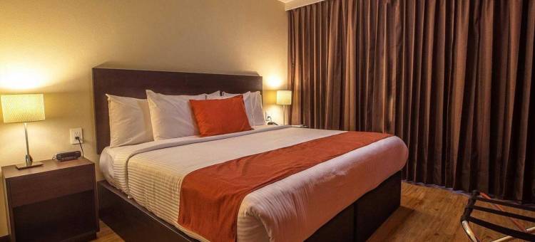 圣路易斯波托西舒适酒店(Comfort Inn San Luis Potosi)图片