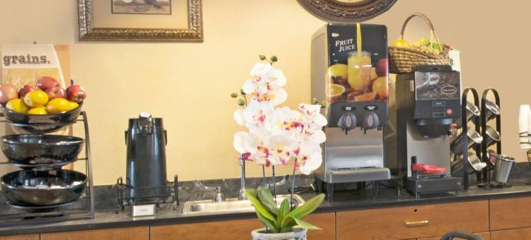 温德姆速8圣安东尼奥市中心酒店(Super 8 by Wyndham San Antonio Downtown NE)图片