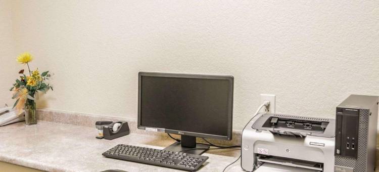 近棕榈州立公园的冈萨雷斯舒眠酒店及套房(Sleep Inn & Suites Near Palmetto State Park)图片