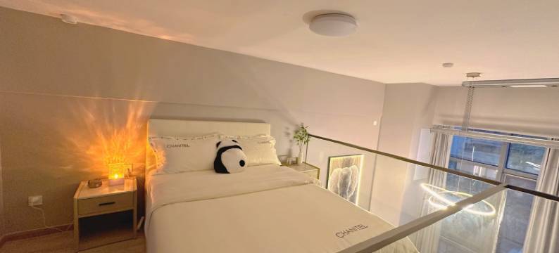 房东枭野公寓(希望路分店)图片