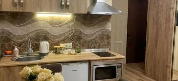 美斯科西斯维利轮转美丽第比利斯公寓(Beautiful Tbilisi on Meskhishvili Turn)图片