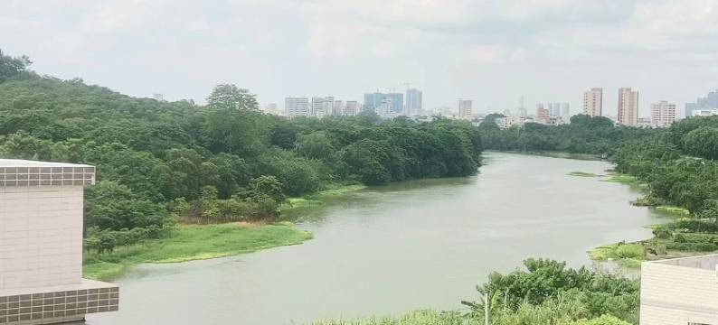 同尘小筑民宿图片