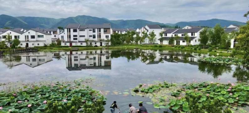 宜兴茶香丽舍民宿图片