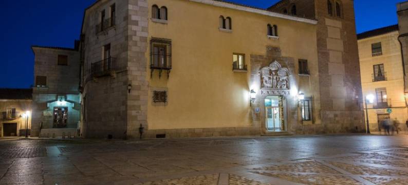 瓦尔德拉巴内斯皇宫酒店(Palacio Valderrabanos)图片