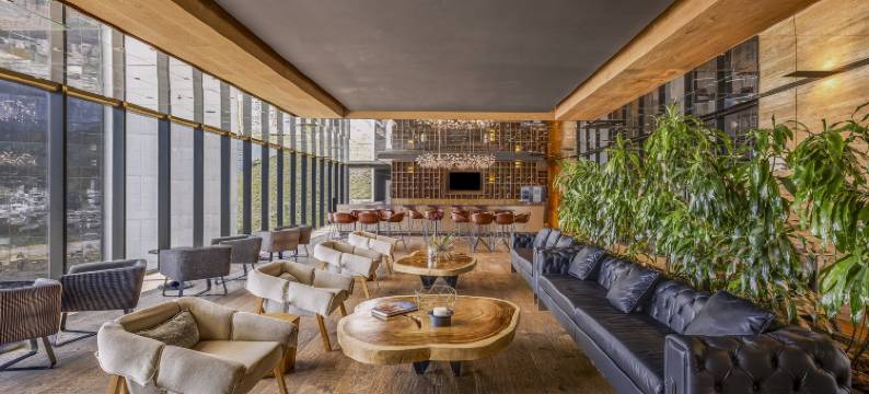 蒙特雷活力之蓝城市度假村(Live Aqua Monterrey)图片