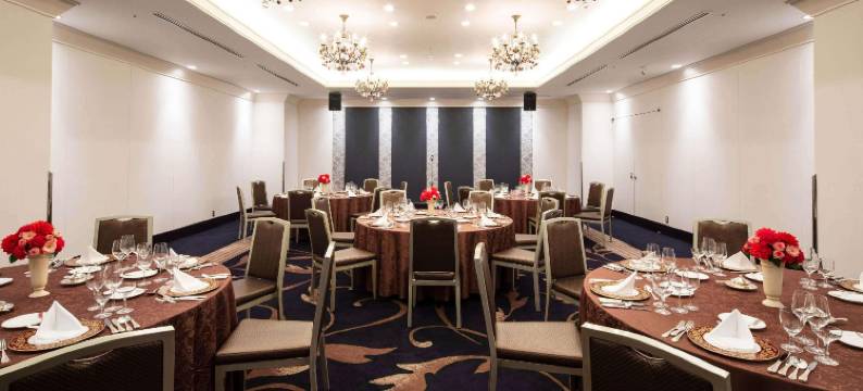 JR东日本大都会大饭店高崎(Hotel Metropolitan Takasaki)图片