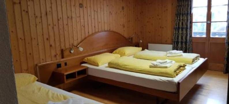 沃尔德豪斯旅馆(Gasthaus Waldhaus)图片