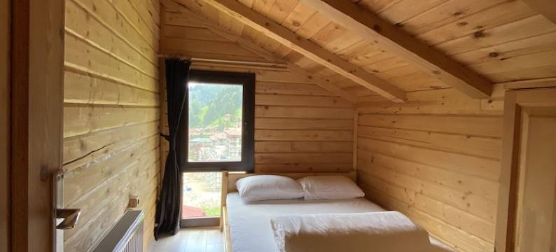 甘察尔艾德别墅(Ayder Villa Gencal)图片