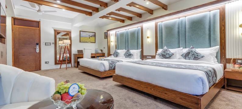 皇家古迹酒店(Hotel Royal Heritage)图片