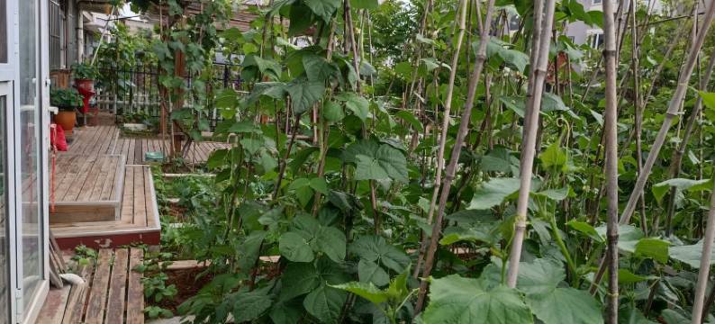 有缘来相聚度假别墅(古御路分店)图片