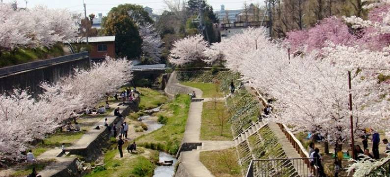 山部酒店(Yamabe)图片