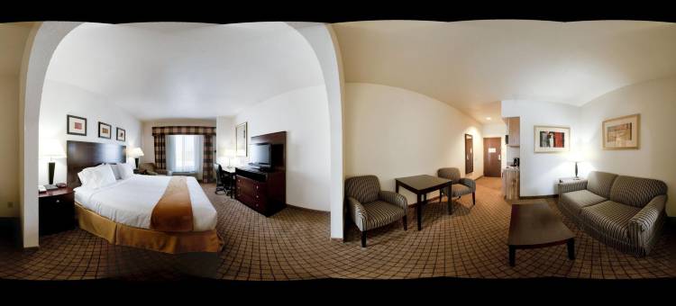 智选假日套房酒店德里斯(Holiday Inn Express & Suites Childress)图片