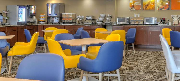 多利伍德街舒适酒店(Comfort Inn & Suites at Dollywood Lane)图片