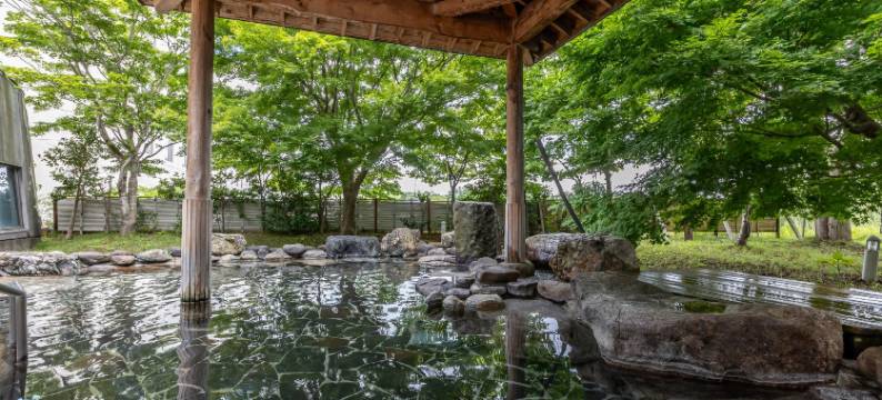 龟乃井酒店-青森马门(KAMENOI HOTEL AOMORI MAKADO)图片