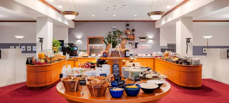 丽笙蓝标酒店及水疗中心，陶格瓦里加(Radisson Blu Hotel & Spa, Daugava Riga)图片