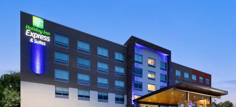 韦恩斯伯勒东智选假日套房酒店(Holiday Inn Express & Suites Waynesboro East)图片