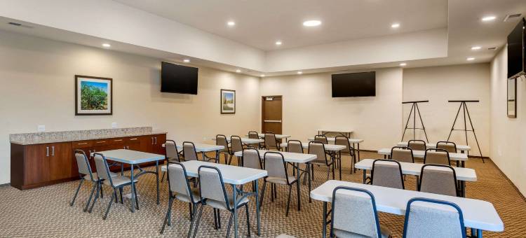 伯灵顿I-5附近舒适套房酒店(Comfort Suites Burlington Near I-5)图片