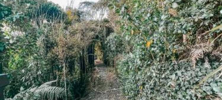 Evergreen Escape Hokitika图片