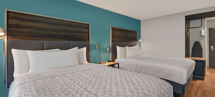 盖洛德希尔顿Tru酒店(Tru by Hilton Gaylord)图片