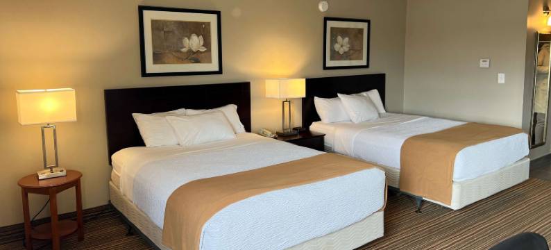 伦敦温德姆华美达酒店(Ramada by Wyndham London)图片