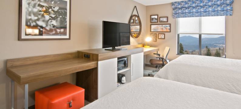 斯普卡尼谷欢朋套房酒店(Hampton Inn & Suites Spokane Valley)图片