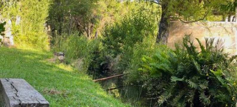 Cabañas Doña Mónica图片