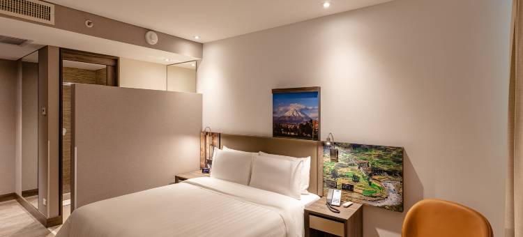 秘鲁阿雷基帕欢朋酒店(Hampton by Hilton Arequipa)图片
