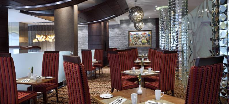 阿克拉万豪酒店(Accra Marriott Hotel)图片