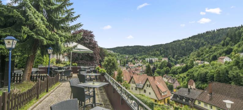 黑森林皇宫贝斯特韦斯特优质酒店(Best Western Plus Hotel Schwarzwald Residenz)图片