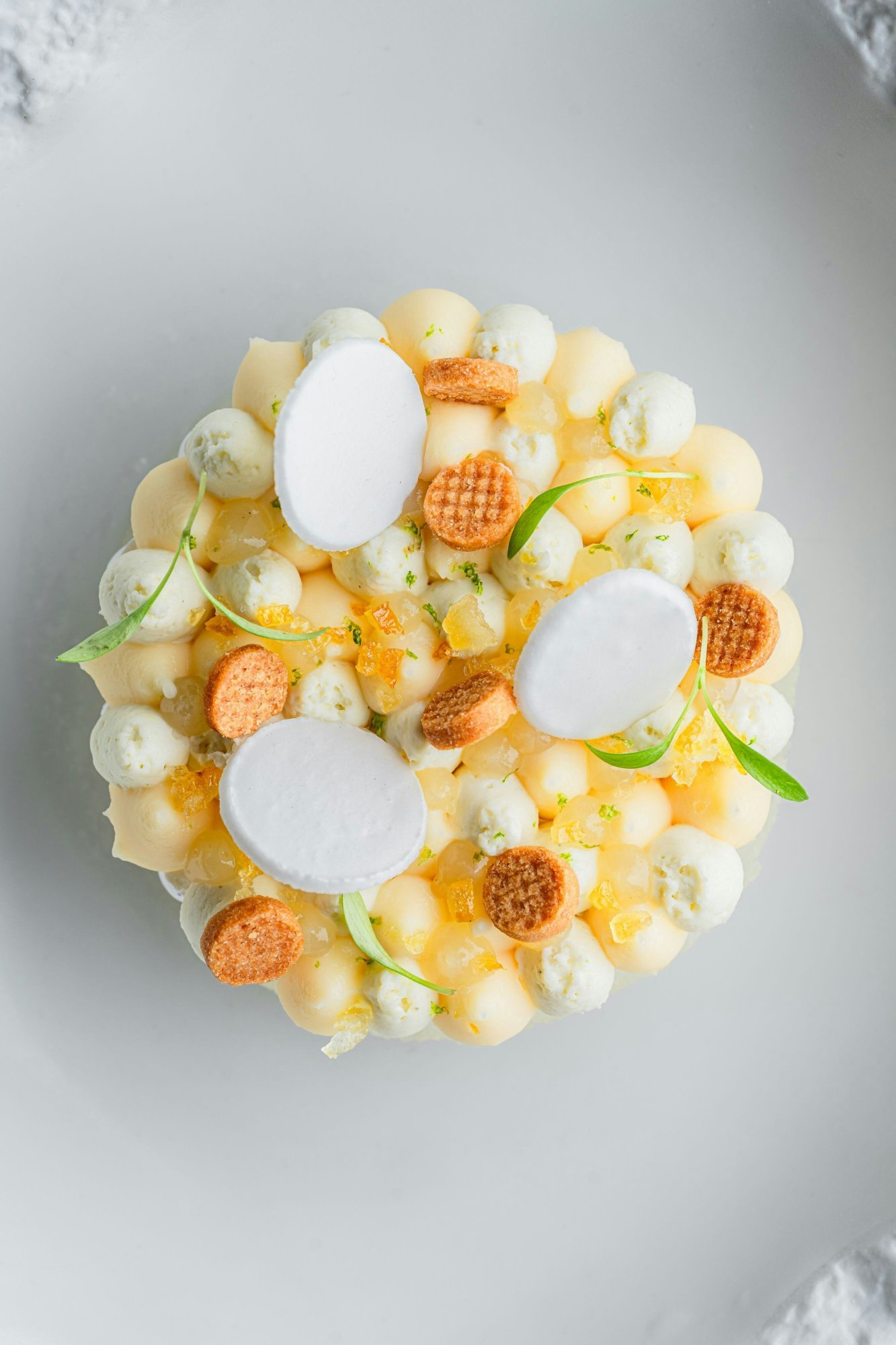 The Ritz-Carlton Hotel de la Paix, Geneva Over view