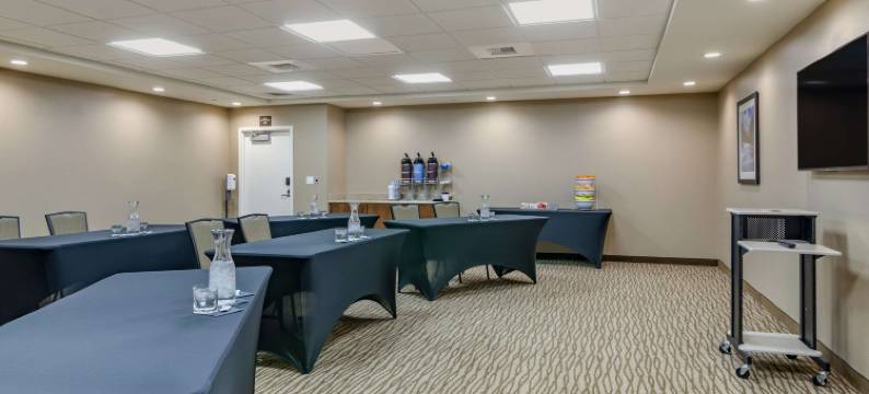 赫勒拿机场舒适套房酒店(Comfort Suites Helena Airport)图片