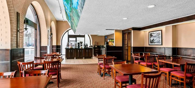 萨德伯里市中心森的特维尔贝斯特韦斯特酒店(Best Western Downtown Sudbury Centreville)图片