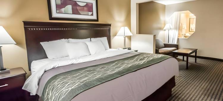 门罗酒店及高级宴会(Econo Lodge Inn & Suites Monroe)图片