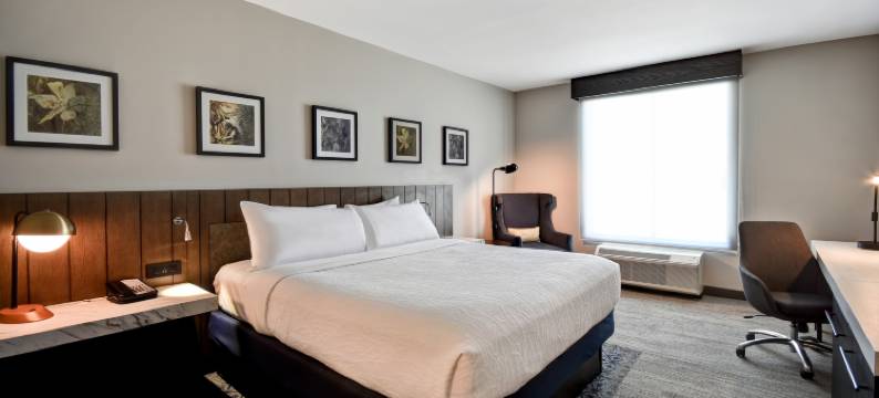 杰克逊希尔顿花园酒店(Hilton Garden Inn Jackson)图片