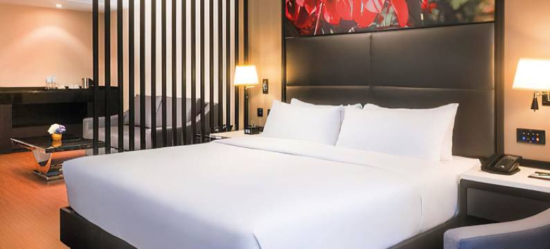 利马苏尔希尔顿花园酒店(Hilton Garden Inn Lima Surco)图片