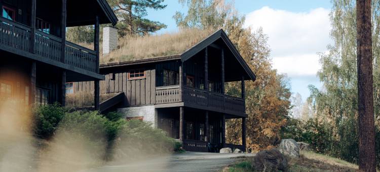 哈夫吉尔胡德佛森公寓酒店(Hunderfossen Leiligheter Hafjell)图片