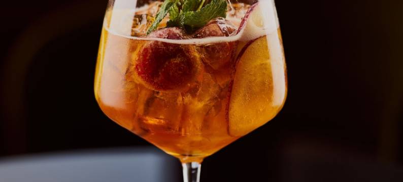 波托索菲酒店(Hotel Porto Sofie Gottlieben)图片