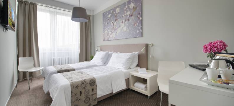 布拉格能源酒店(Hotel Energie)图片